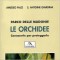 Le Orchidee, conoscerle per proteggerle