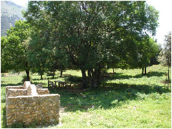 p_zucchi_parco_area_attrezz