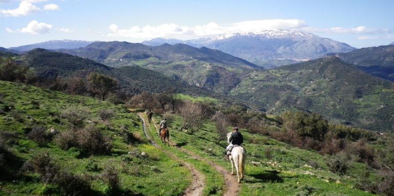 IPPOVIE TRA REGIE TRAZZERE E SENTIERI DEL PARCO