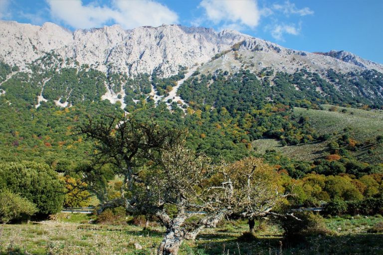 Geologia e Paesaggio