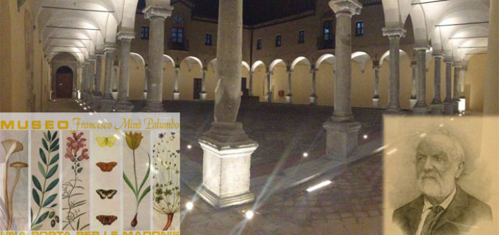 MUSEO NATURALISTICO Francesco Minà Palumbo