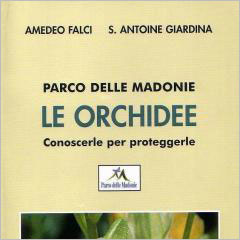 Le-orchidee