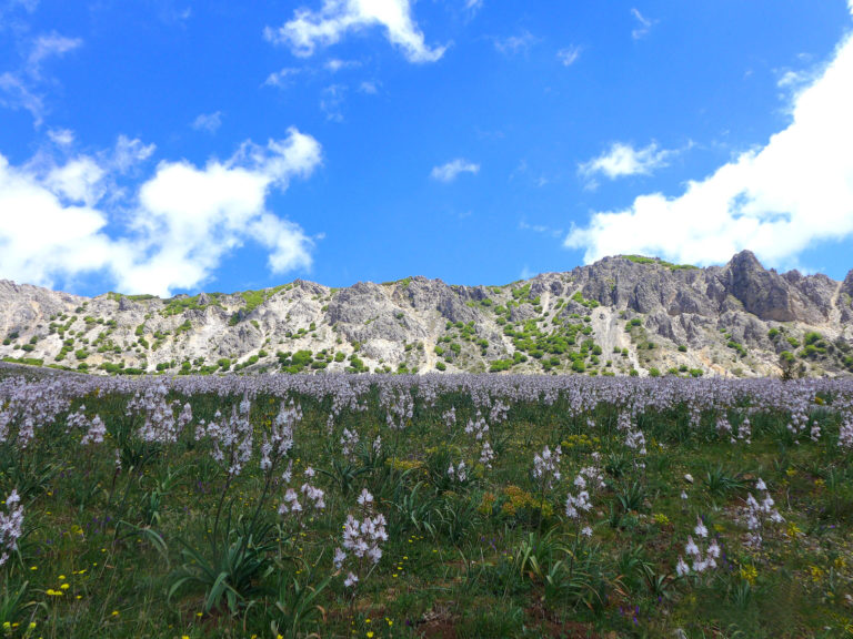 Geoparco delle Madonie – Patrimonio Unesco
