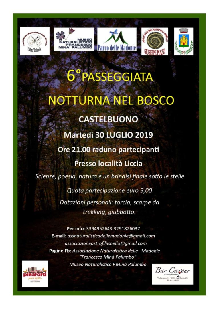 VISITARE IL PARCO DELLE MADONIE DI NOTTE