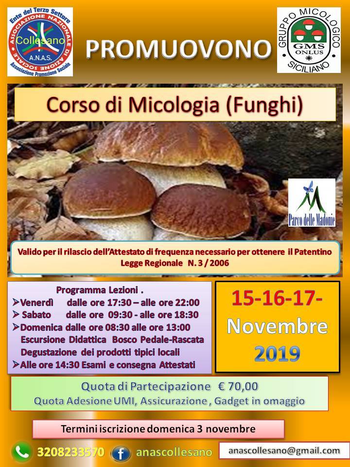 CORSO DI MICOLOGIA valido per il rilascio del tesserino regionale raccolta funghi spontanei