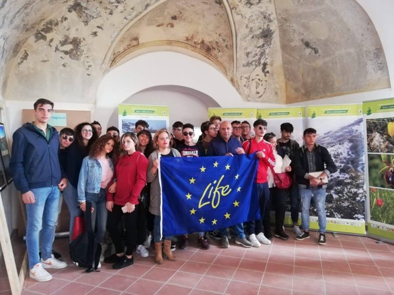 L’ABIES NEBRODENSIS IN MOSTRA A CALTANISSETTA PER L’EVENTO PAESAGGI DI MEZZO