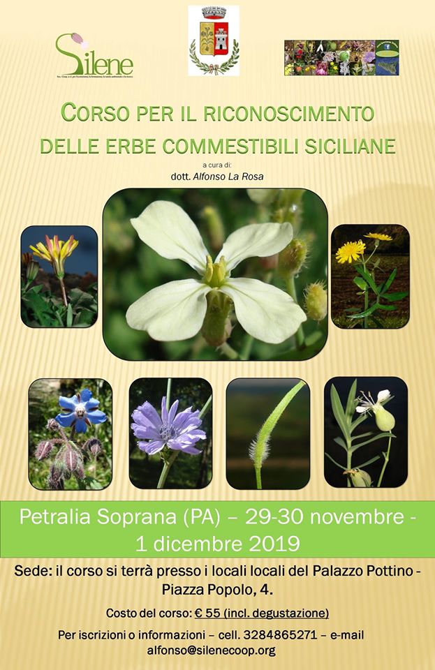 IL PARCO DELLE MADONIE TERRA RICCA DI ERBE COMMESTIBILI UN CORSO A PETRALIA SOPRANA