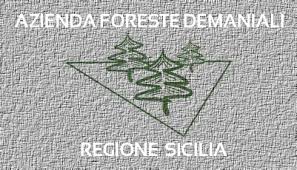 AREA ATTREZZATA SANGUISUGHE