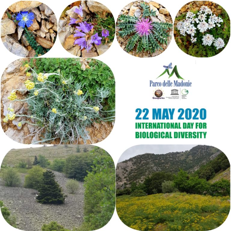 “hashtag siamo natura – sì amo natura”. La giornata della biodiversità 2020