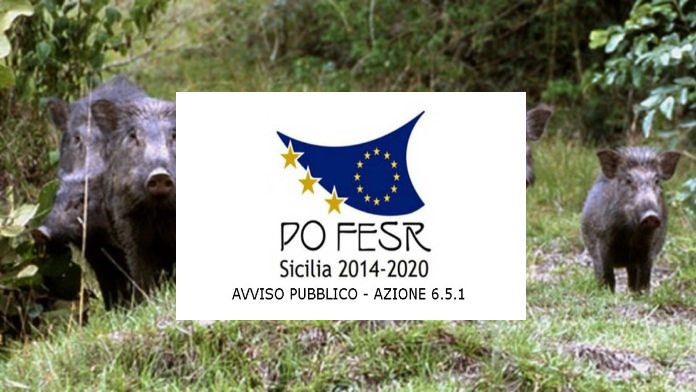 Manifestazione di Interesse per incarico di Responsabile del Monitoraggio Popolazione Suidi