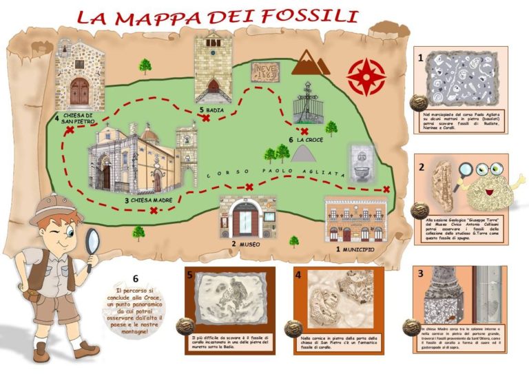 A CACCIA DI FOSSILI