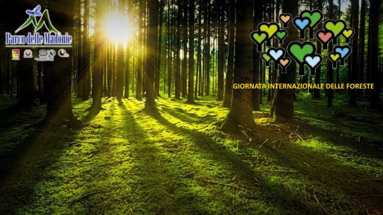 GIORNATA INTERNAZIONALE DELLE FORESTE-MESSAGGIO DEL PRESIDENTE DEL PARCO DELLE MADONIE