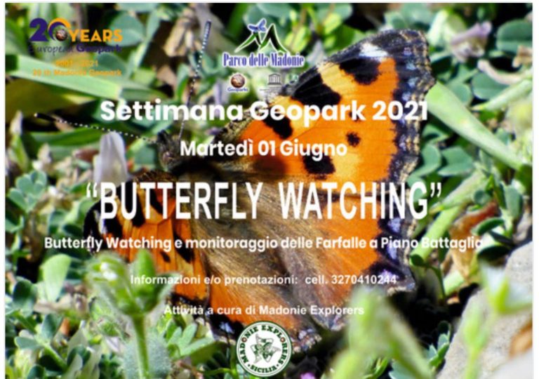 #EGNWeek21 Alla ricerca delle Farfalle delle Madonie-BUTTERFLY WATCHING