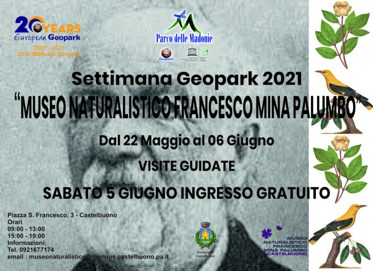#EGNWeek21- MUSEO NATURALISTICO F.MINA’ PALUMBO-ALLA SCOPERTA DI ROCCE-MINERALI E FOSSILI