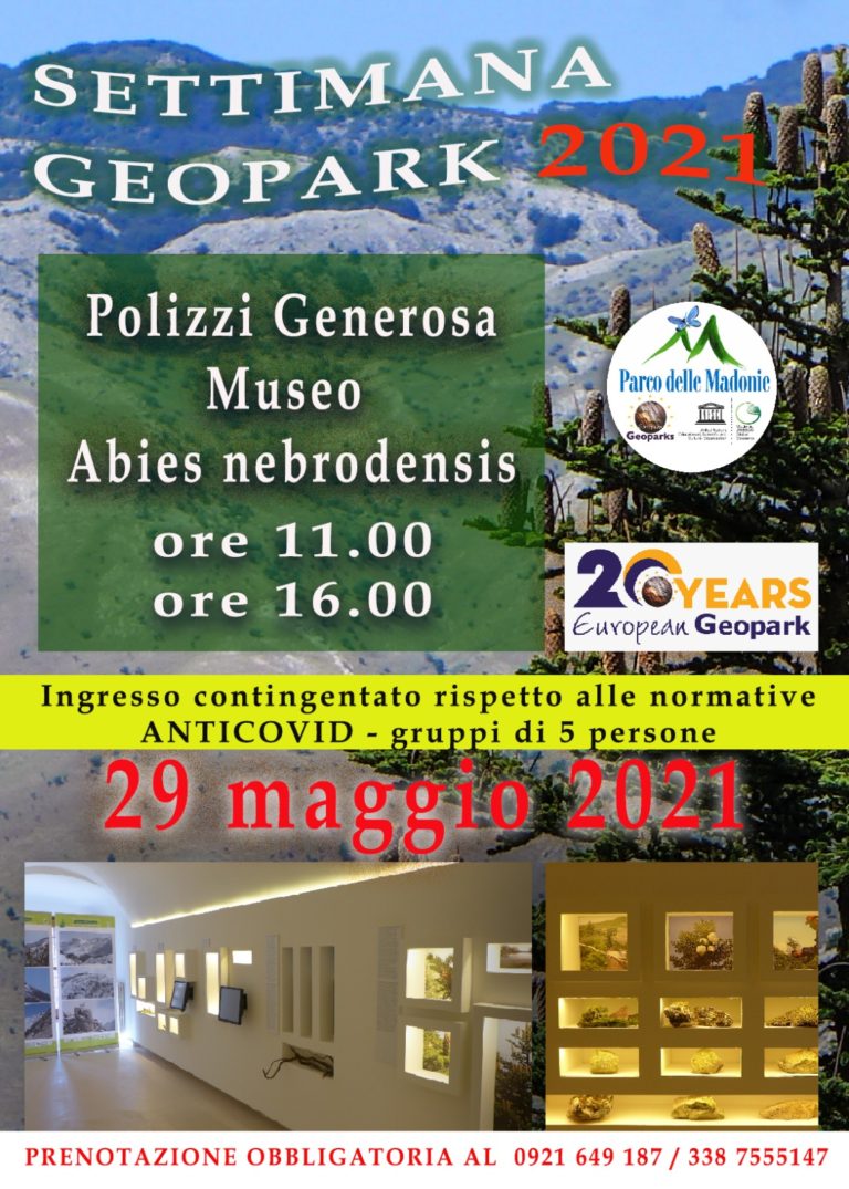 SABATO 29 MAGGIO ABIES NEBRODENSIS MONUMENTO DELLE NATURA VISITA GUIDATA AL MUSEO DELL’ABIES NEBRODENSIS