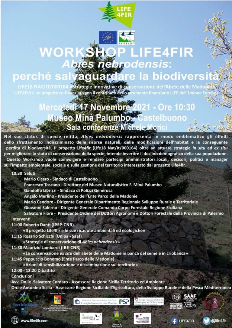 ABIES NEBRODENSIS PERCHE’ SALVAGUARDARE LA BIODIVERSITA’ Mercoledi 17 Workshop