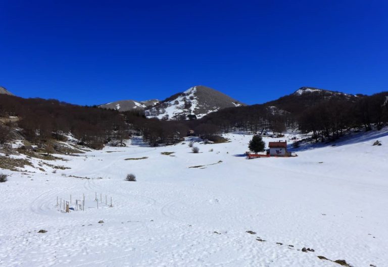PIANORO DI PIANO BATTAGLIA Live Streaming