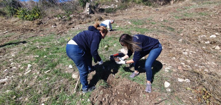 DALLA CENERE ALLA RINASCITA  DAGLI INCENDI DEL 2021 – RETE CLIMA NUOVI INTERVENTI DI RIFORESTAZIONE NEL PARCO DELLE MADONIE
