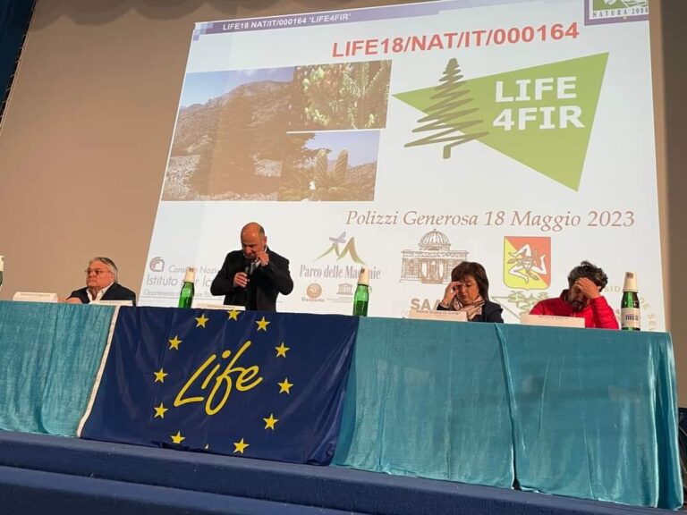 Abies nebrodensis”  Progetto LIFE4 FIR (LIFE 18 NAT/IT/164 LIFE4FIR).