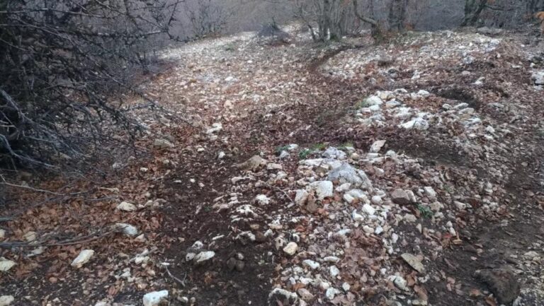 DALLA MUFARA A PIZZO CARBONARA GRUPPO DI MOTOCICLISTI STRANIERI SCORAZZANO IN AREA PROTETTA DEL PARCO DELLE MADONIE :DENUNCIATI