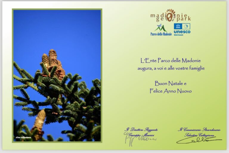 ARIA DI FESTA NEI BORGHI DEL PARCO DELLE MADONIE-LA GALLERIA FOTOGRAFICA