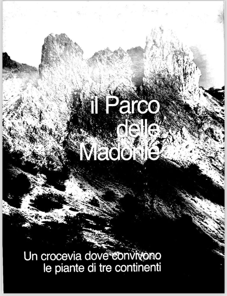 L’ENTE PARCO DELLE MADONIE RICORDA LA SCOMPARSA DI SEBASTIANO TUSA.