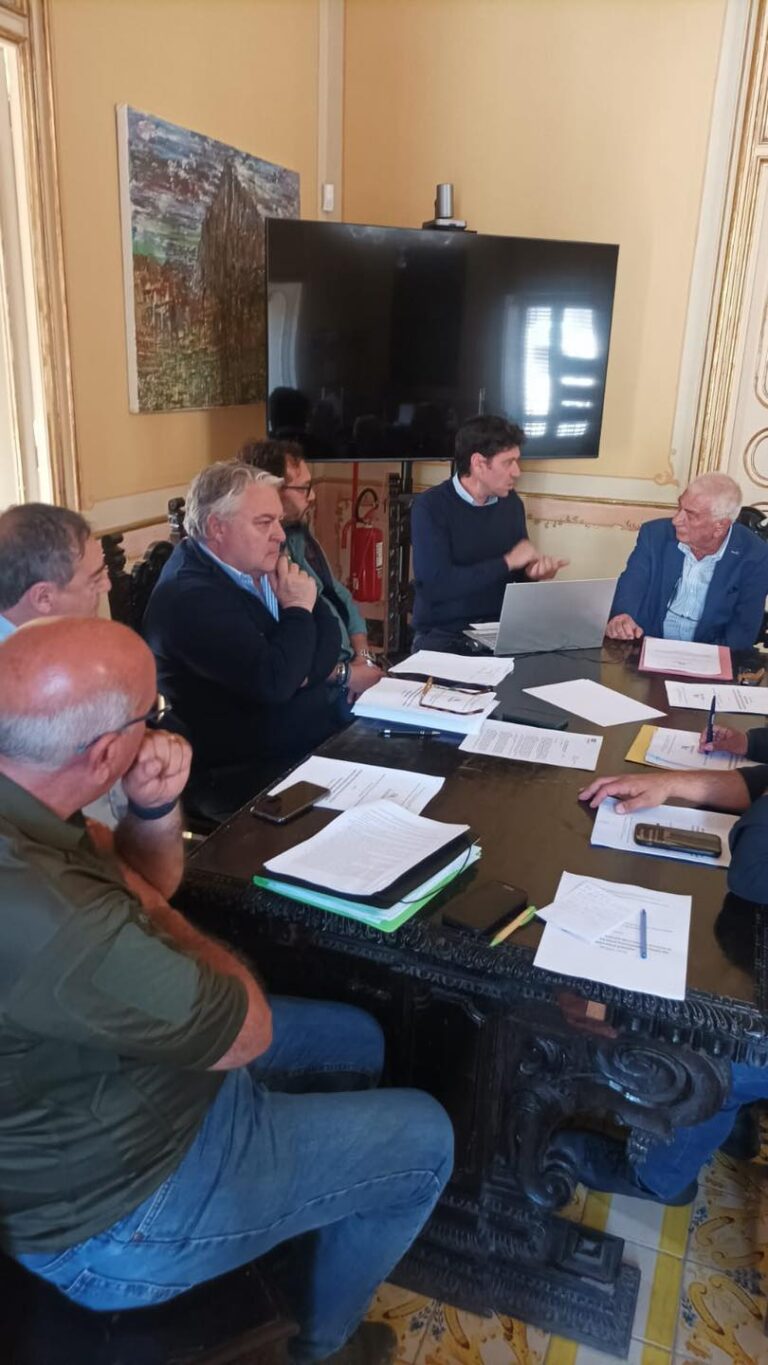 PIANO DAINI RIUNIONE OPERATIVA PER PROGRAMMAZIONE DELLE ATTIVITA’ PREVISTE.