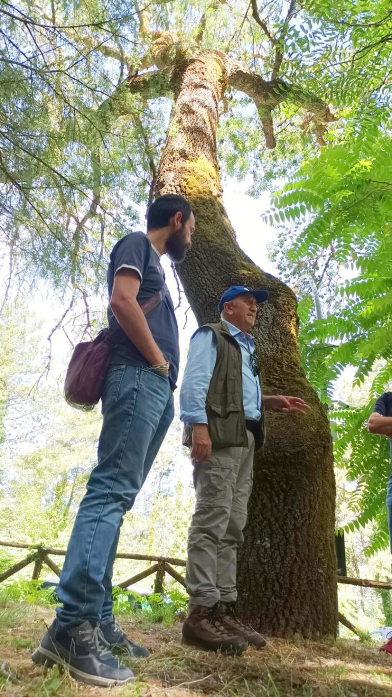 Primi passi verso la realizzazione del Giardino botanico montano all’interno della Pineta comunale di Petralia Sottana.