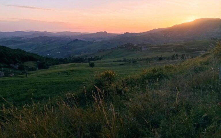Piano contenimento daini varato dal Parco delle Madonie