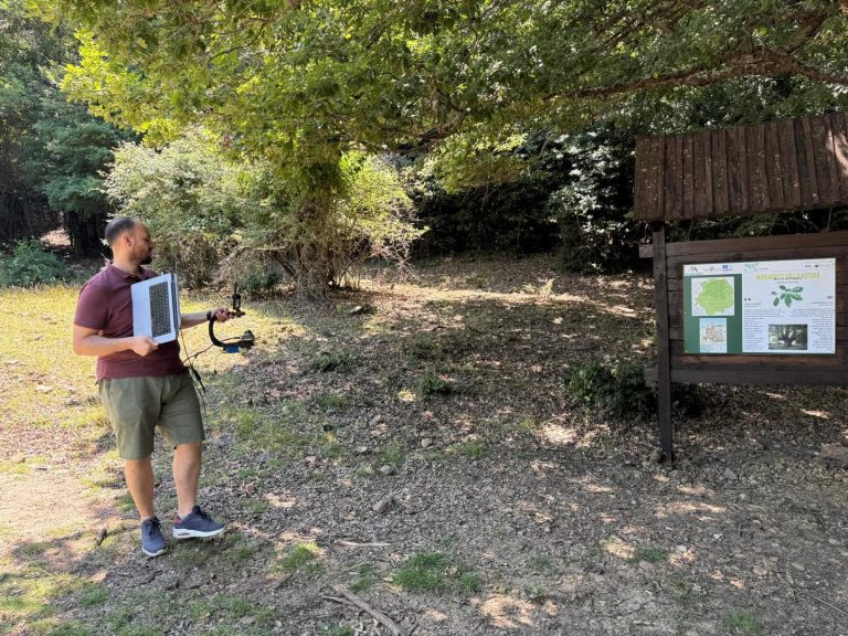 Il progetto “GEMMA” (Georeferenziazione, Monitoraggio e Mappatura degli Alberi Monumentali) è stato avviato per la catalogazione e il controllo degli alberi monumentali all’interno del Parco delle Madonie.