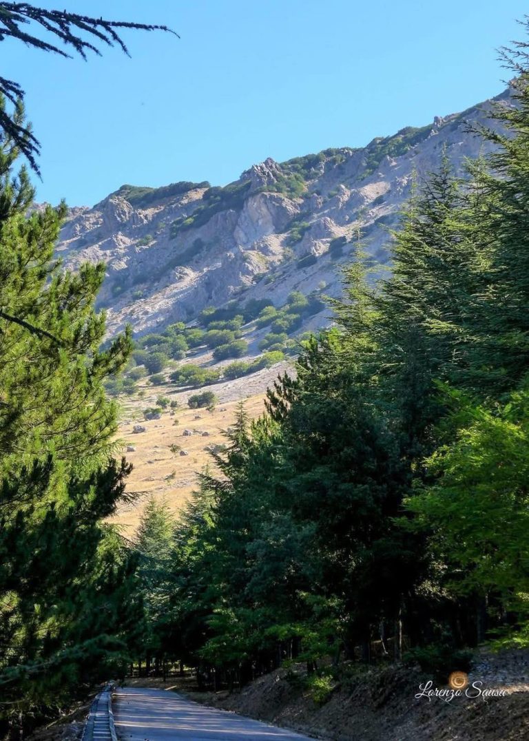 GEOPARCO UNESCO MADONIE, TORNA IL CARTELLINO VERDE.