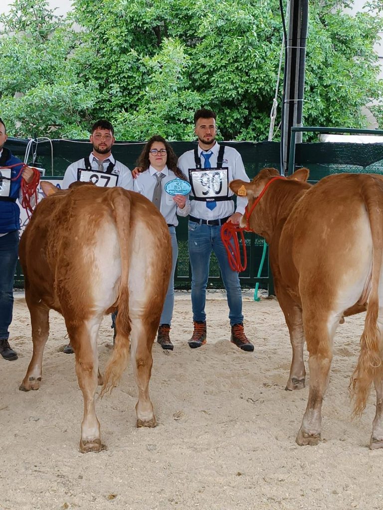 Gli allevatori delle Madonie confermano il proprio livello di eccellenza ad Agriumbria 2026