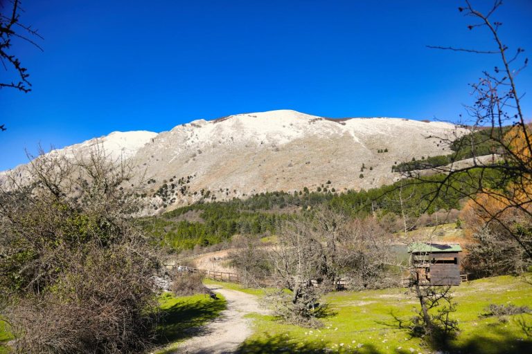 Nella  Sala Consiliare del Comune di Petralia Sottana, alla presenza del sindaco Pietro Polito, si è svolto l’incontro promosso dal Madonie UNESCO Global Geopark dedicato alla consegna dei tesserini ai selecontrollori impegnati nelle attività di gestione faunistica del territorio del Parco.