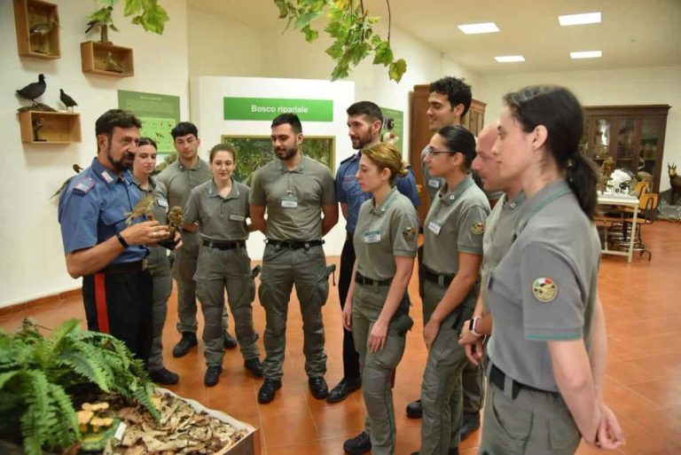 Corpo Forestale, 94 nuovi Agenti: il plauso del Presidente Ferrarello e il riconoscimento all’impegno dell’assessore Savarino