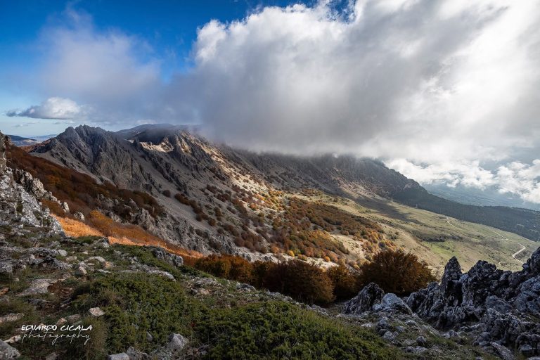 200 mila euro per la sentieristica e la gestione della fauna selvatica-Variazioni di bilancio all’ARS