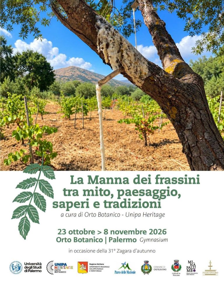 La manna delle Madonie alla Zagara d’Autunno: il contributo dell’Ente Parco delle Madonie